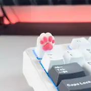 Paw Five Klavye Tuşu 3