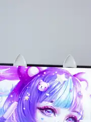 Miyuwu Setup Aksesuarı 1