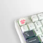 Paw Five Klavye Tuşu 1