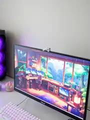 Meraklı Kedi Setup Aksesuarı 2