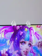 Miyuwu Setup Aksesuarı 2